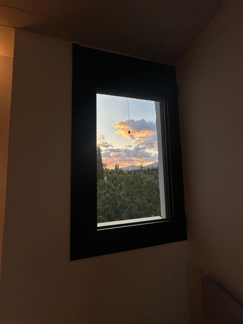The view